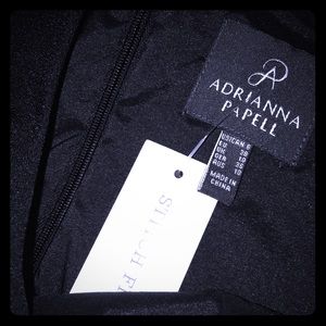 Adrianna Papell Dress